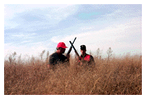 Pheasant Hunting at Brush Dale