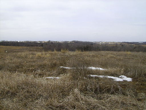 Iowa Prairie Project at Brush Dale Hunting Preserve and Kennel