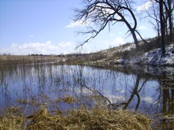 Duck Pond at Brush Dale Farm Hunting Preserve