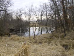 Judy's Pond at Brush Dale Farm Hunting Preserve