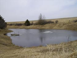 Loch Ness Pond at Brush Dale Farm Hunting Preserve